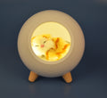 Rechargeable LED Pet House Night Light – Creative Kitten-Themed Desktop Mood Light for Bedroom Bedside & Nighttime Feeding